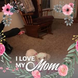 Meet your Posher, Mary jane